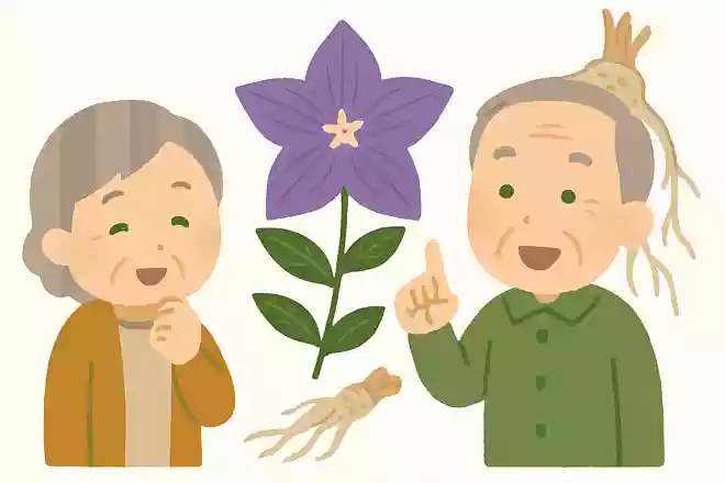 キキョウは秋の七草の一つです。キキョウの根は、漢方にも用いられることもある効能があります。何でしょうか?
