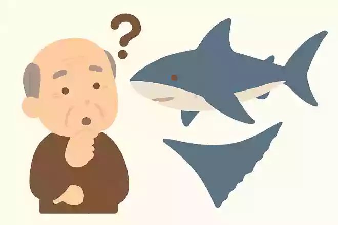 高級食材で知られている、フカヒレは何の魚のひれでしょうか?