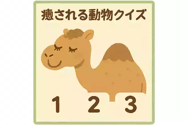 ラクダのまつ毛が長いのはどうしてでしょうか?
