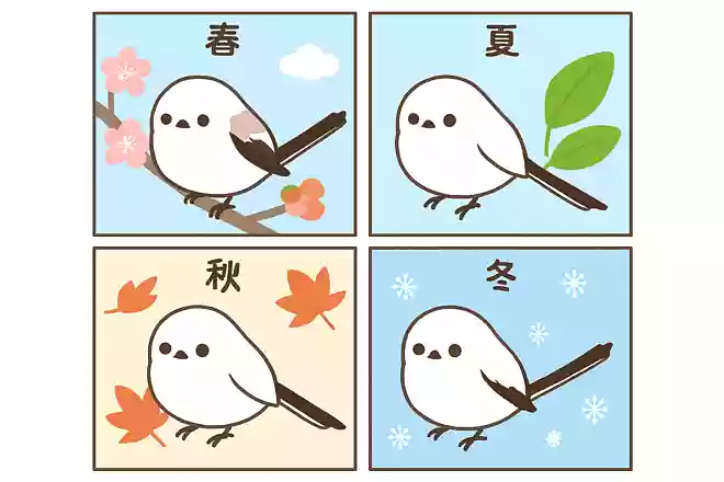 季節ごとのシマエナガの外見について、間違っている選択肢はどれでしょう?
