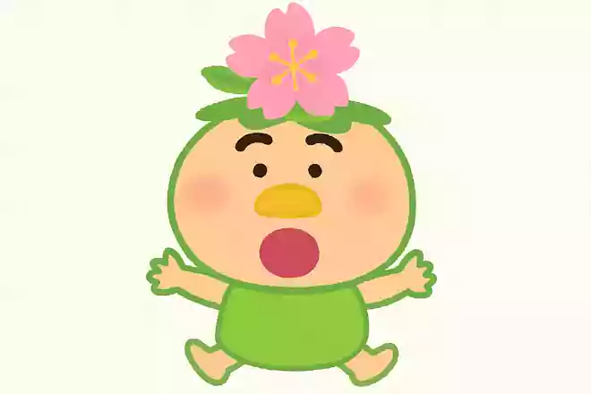 アニメ『はなかっぱ』に登場するはなかっぱの頭には何の花が咲いているでしょう?