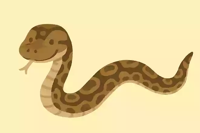 世界で一番長いヘビの名前は?