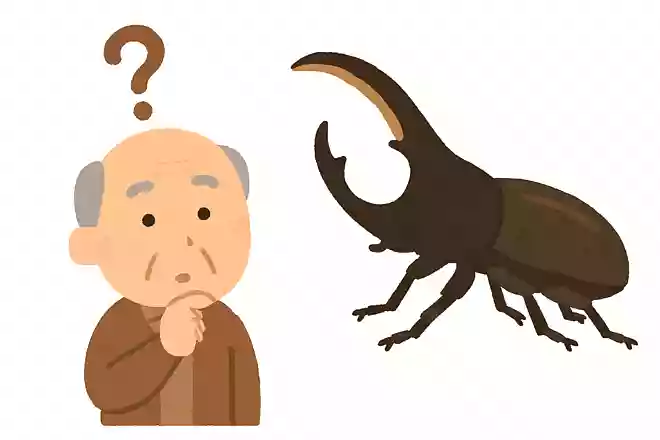 世界で一番強いと言われている虫は何でしょう?NEW!