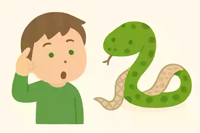 どうしてヘビは脱皮する?