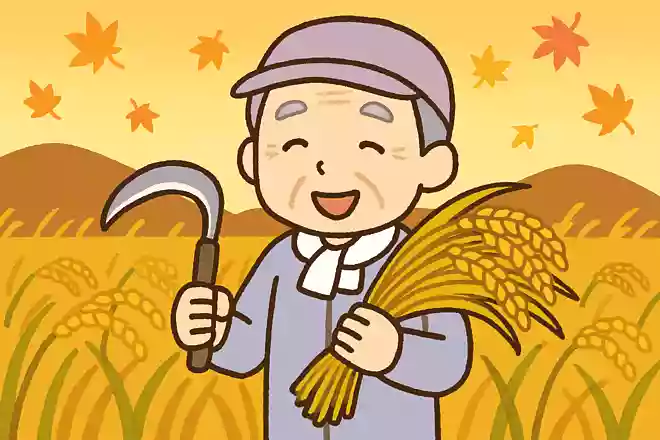 おいしい新米が収穫される秋。日本で一番多く生産されているお米の品種はなにでしょうか?