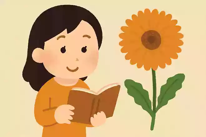 11月の誕生花は「ガーベラ」である