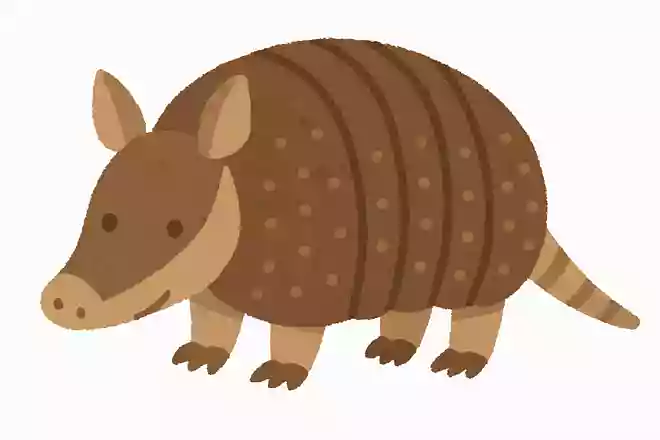 ロクタイアルマジロ(六帯犰狳)