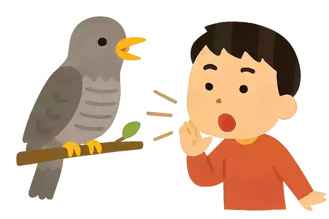 布谷鸟、叫布谷、布谷布谷、忙忙碌碌、赶快布谷。