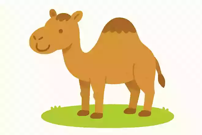 あついところにすんでいて、せなかにおおきなコブがあるどうぶつは?