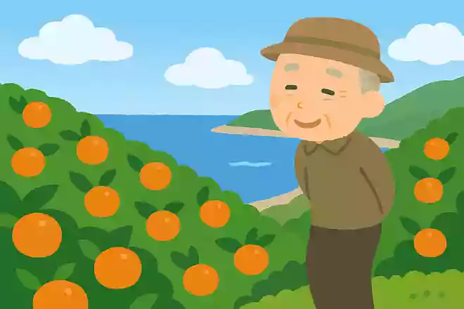 みかん山 海見下ろして 五月尽