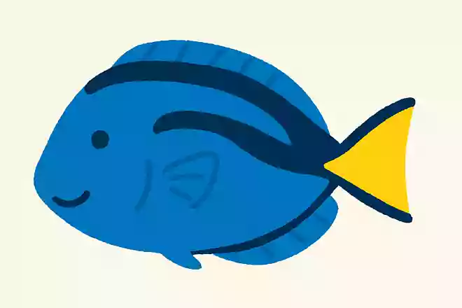 ナンヨウハギ(南洋剥)