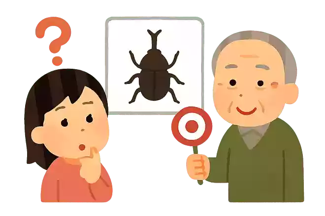 〇〇の甲より年の功