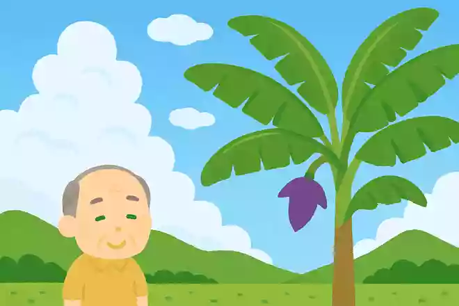 さらさらと 白雲わたる 芭蕉かな