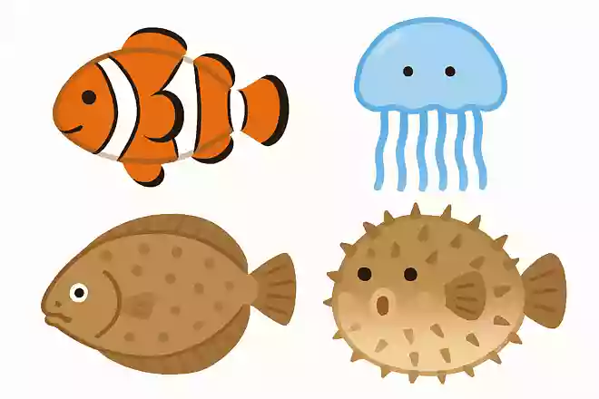 次のなかから、海に住んでいるクラゲはどれでしょうか?