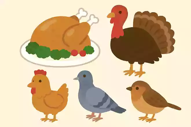 クリスマスに食べられる「ターキー」とは何の鳥でしょうか?