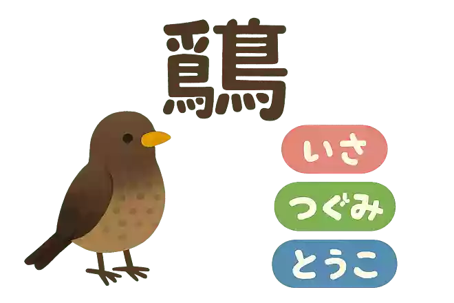 鶫