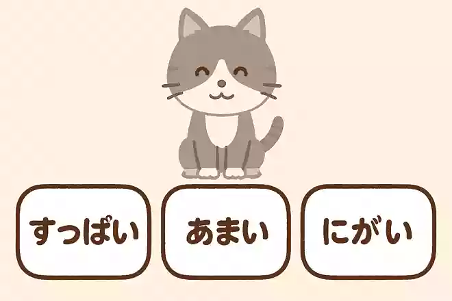 猫が感じない味は次のうちどれ?