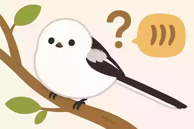 シマエナガの「シマ」はどういう意味?