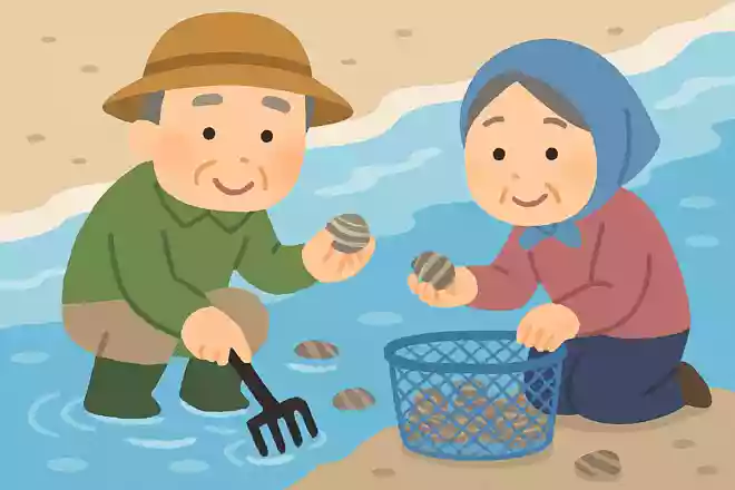5月に人気の潮干狩りは何を取るものでしょうか?