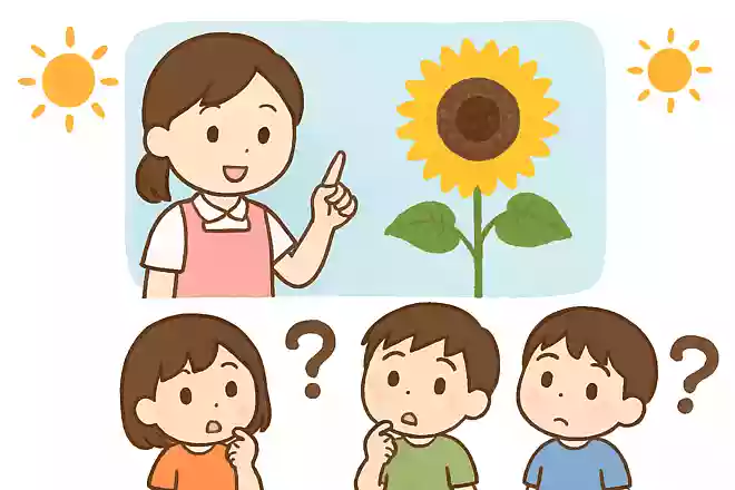 夏に咲く黄色い花は次のうちどれでしょうか
