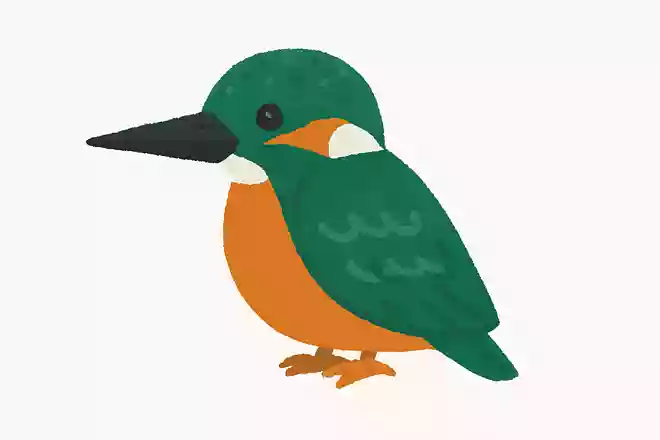 「翡翠」はなんの動物でしょう?