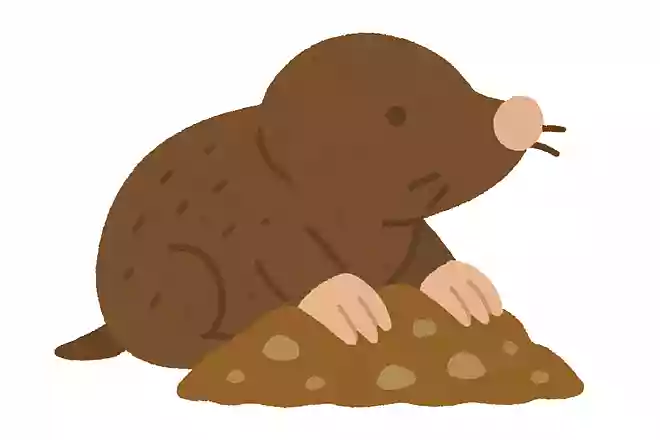 「土竜」はなんの動物でしょう?