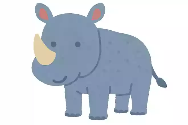 ローランドアノア