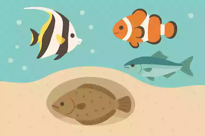 砂の穴にもぐって眠る魚はどれでしょうか?