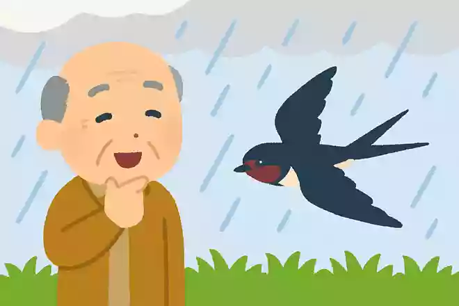 ある鳥が低空飛行していると、雨が降ると言われています。その鳥は何でしょうか?