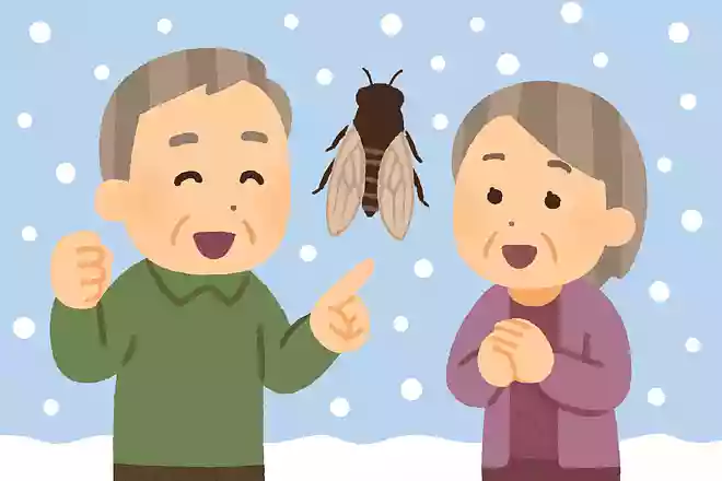 ある生き物が大量発生するとその年は大雪が降ると言われていますが、ある生き物とは何でしょうか?