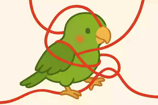 ひもにからまって遊ぶ鳥ってどんな鳥?NEW!