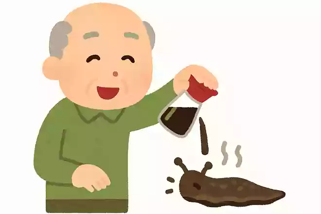 塩以外にナメクジがかけられると、縮んでしまう調味料はなんでしょうか?