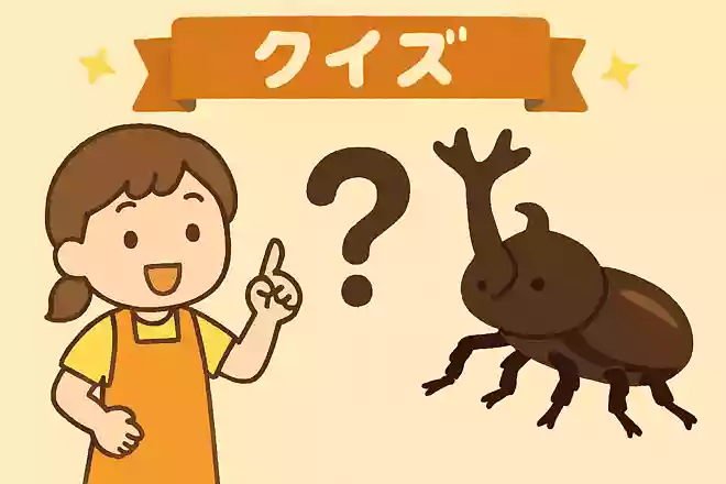 カブトムシには角が何本あるでしょうか?