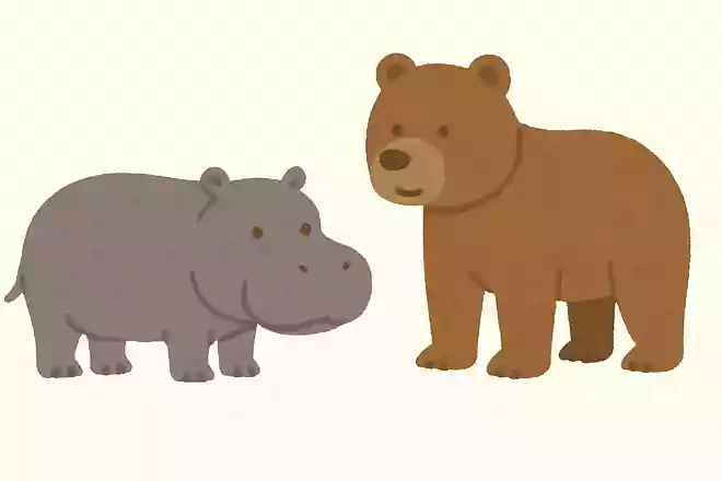 カバとクマはどちらが大きい?