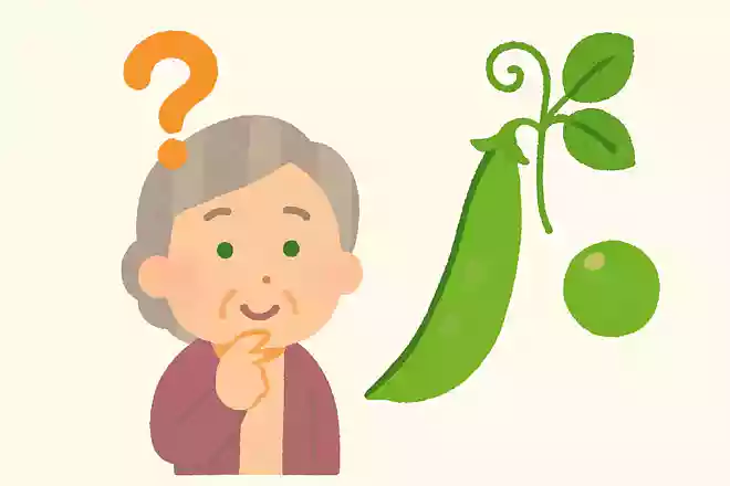さやえんどうは5月が旬ですが、中の豆は成長すると何になるでしょうか？