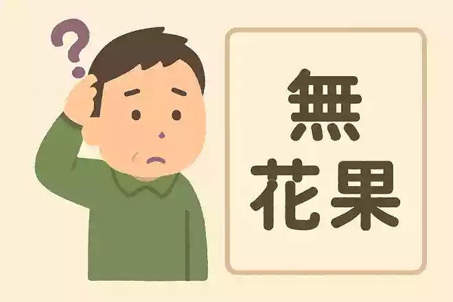 無花果