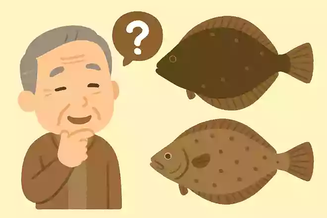 ヒラメとカレイの見分け方は?