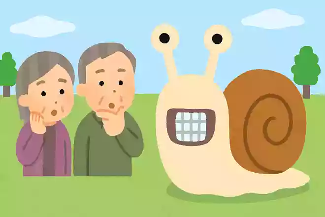 カタツムリには、歯が何本あるでしょうか?NEW!