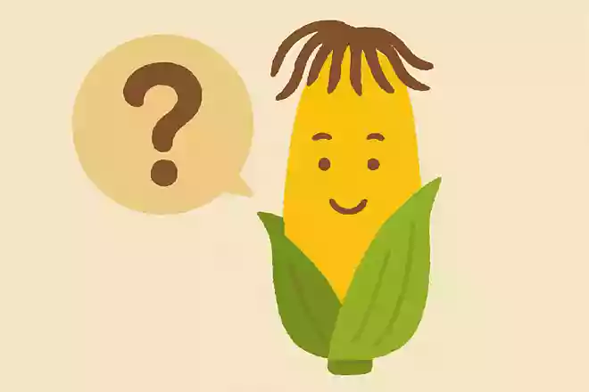 とうもろこしのひげが褐色の場合、どういった状態でしょうか?