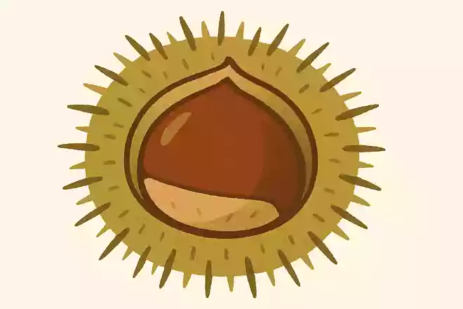トゲトゲのイガの中に入っている食べ物はなんでしょう。