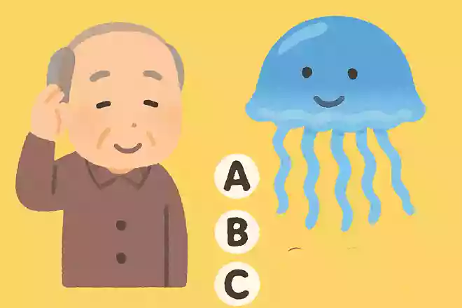 クラゲは何%が水分でしょうか?