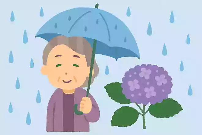 梅雨の時期に開花する紫陽花の原産国はどこでしょうか。