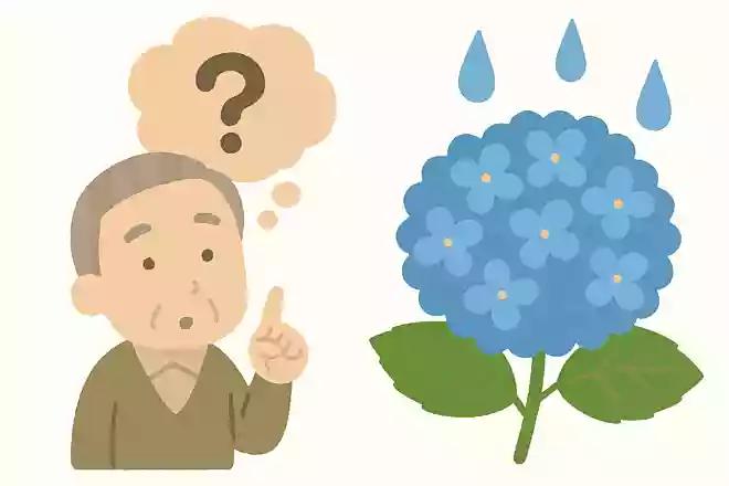 梅雨明けはどのようにして決まるのでしょうか