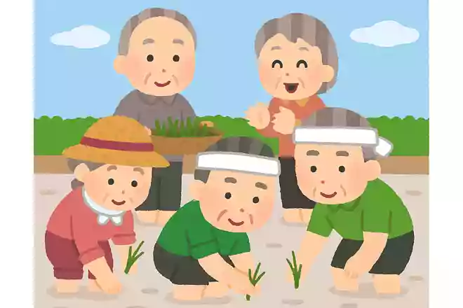 田植え