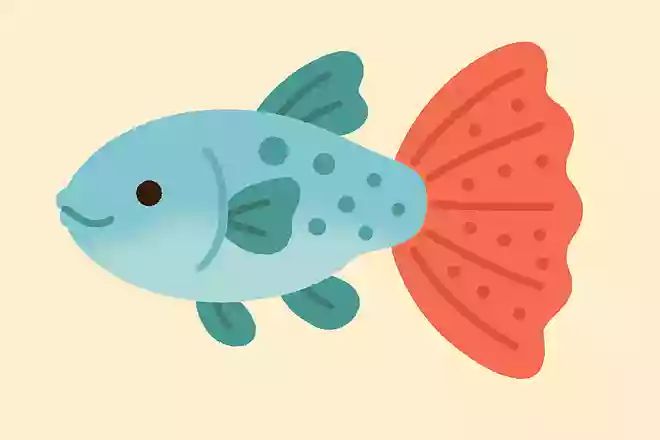 グッピー