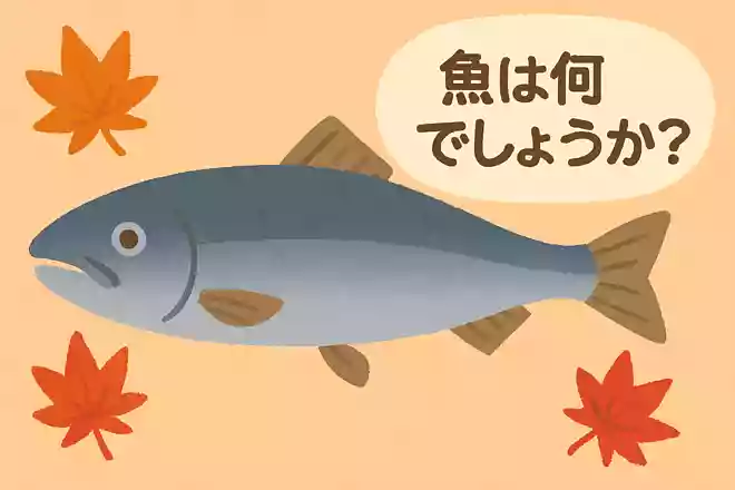 11月頃から旬を迎える、北海道の太平洋側にしか生息していない魚は何でしょうか?