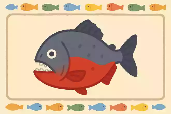 アマゾン川などに生息する、人食い魚として有名な魚は?