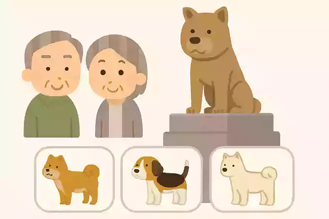 渋谷のシンボルにもなっている「忠犬ハチ公像」のハチ公の犬種は?