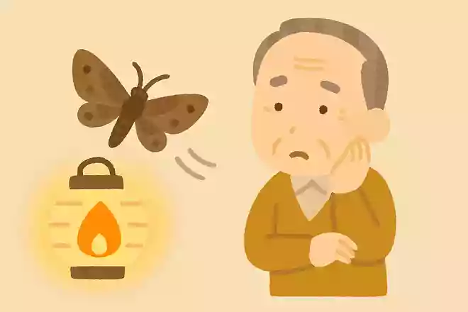 飛んで火にいる夏の〇〇