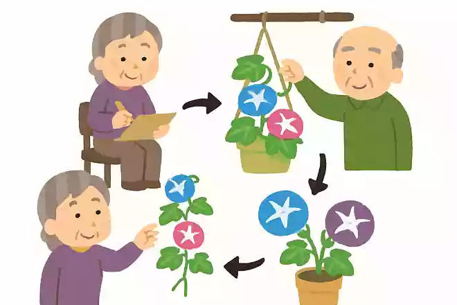 作るつる草吊るすつゆ草